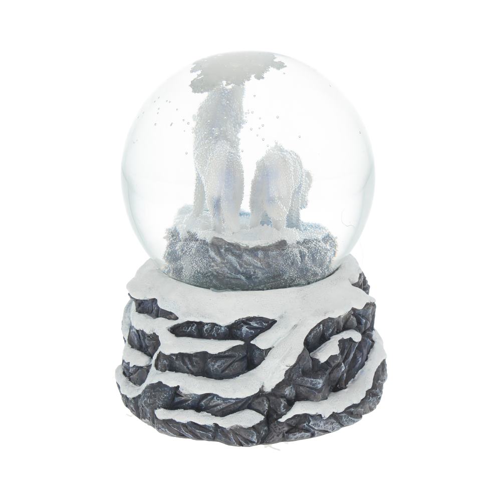 Warriors of Winter Snowglobe (LP)