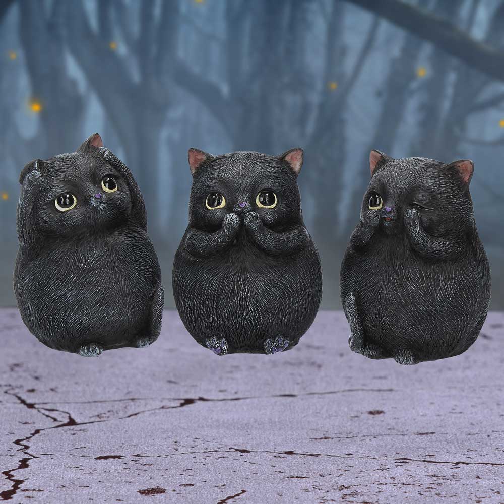 Three Wise Fat Cats