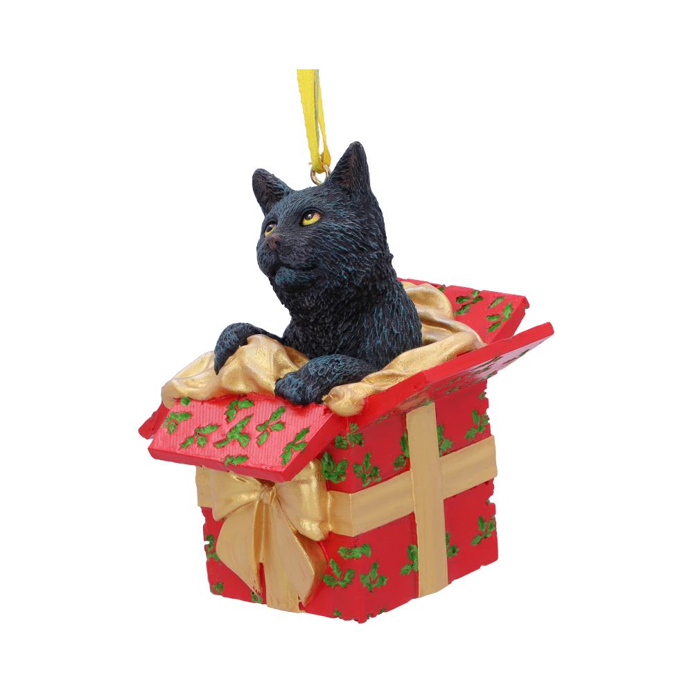 Present Cat Hanging Ornament (LP)