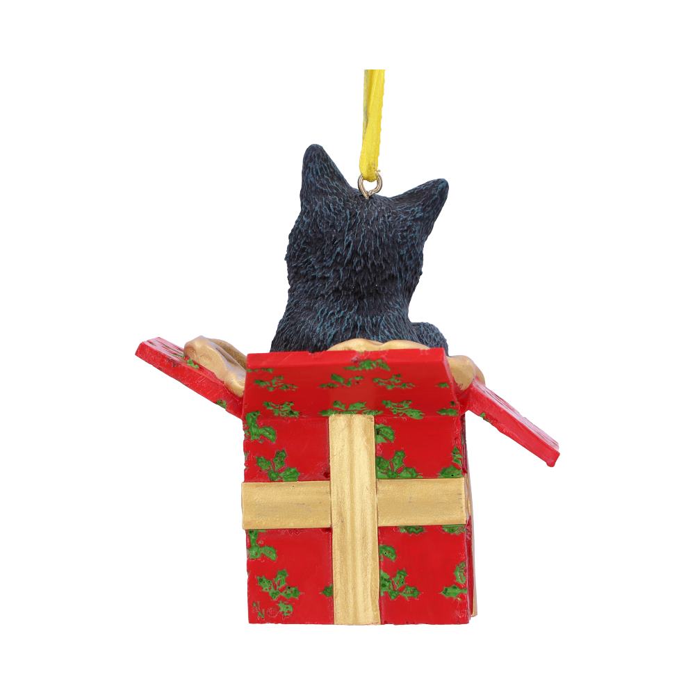 Present Cat Hanging Ornament (LP)