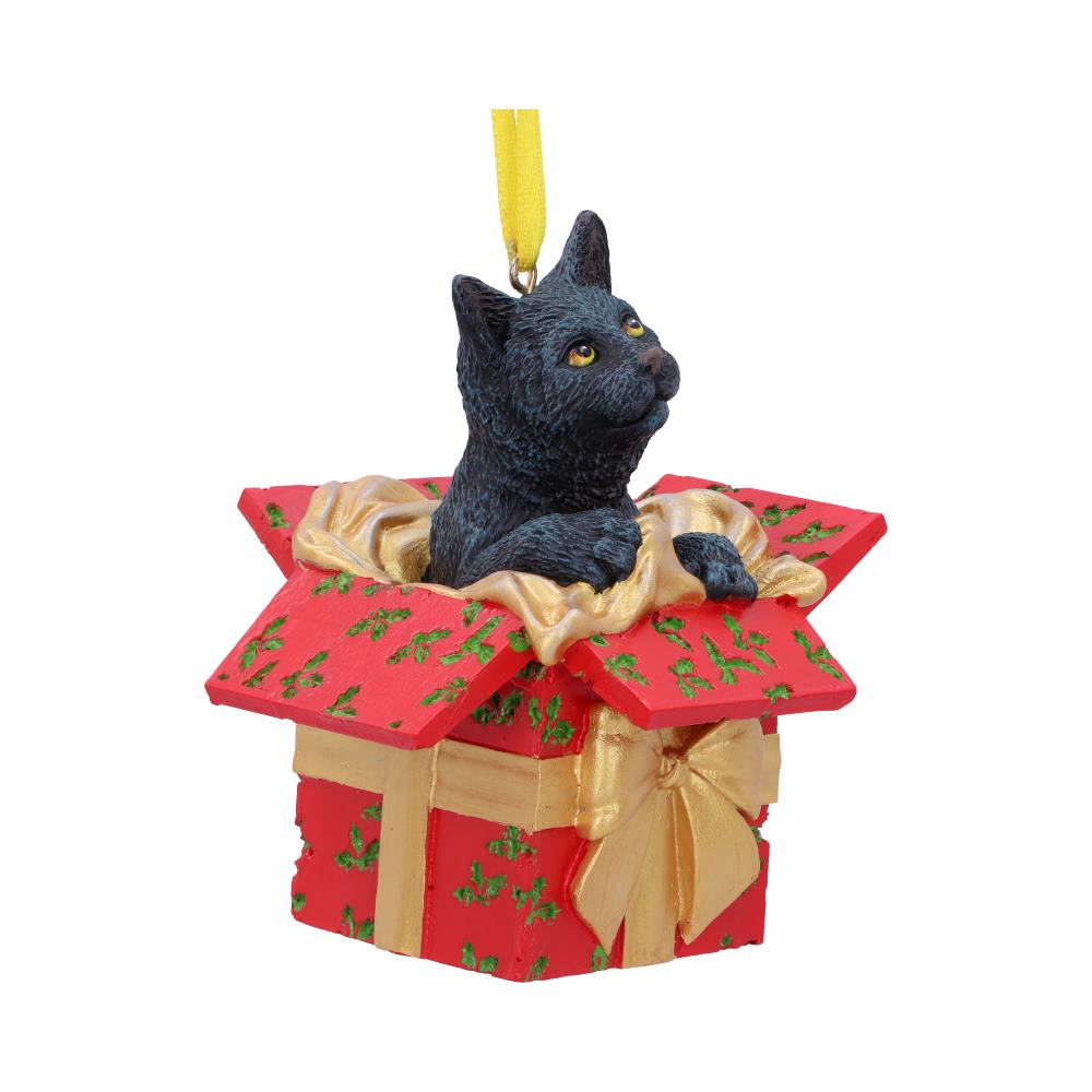 Present Cat Hanging Ornament (LP)