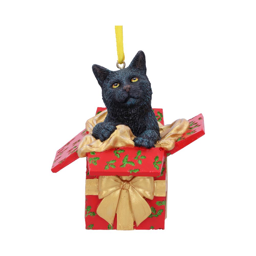 Present Cat Hanging Ornament (LP)