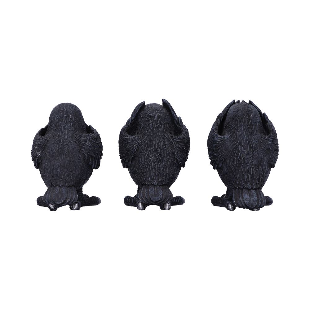 Three Wise Ravens