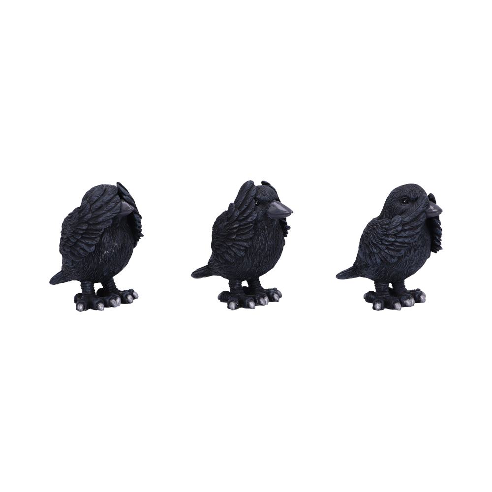 Three Wise Ravens