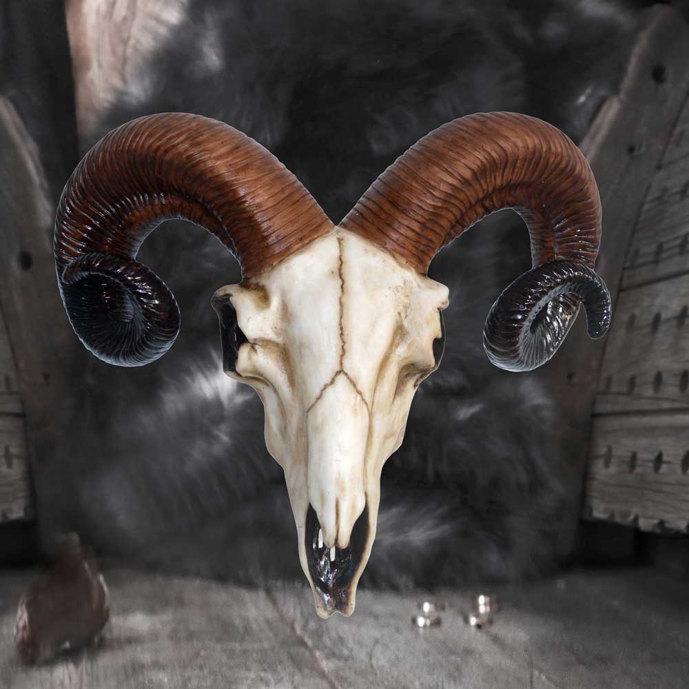 Rams Skull Medium