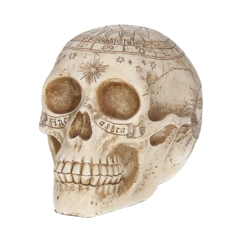 Astrological Skull