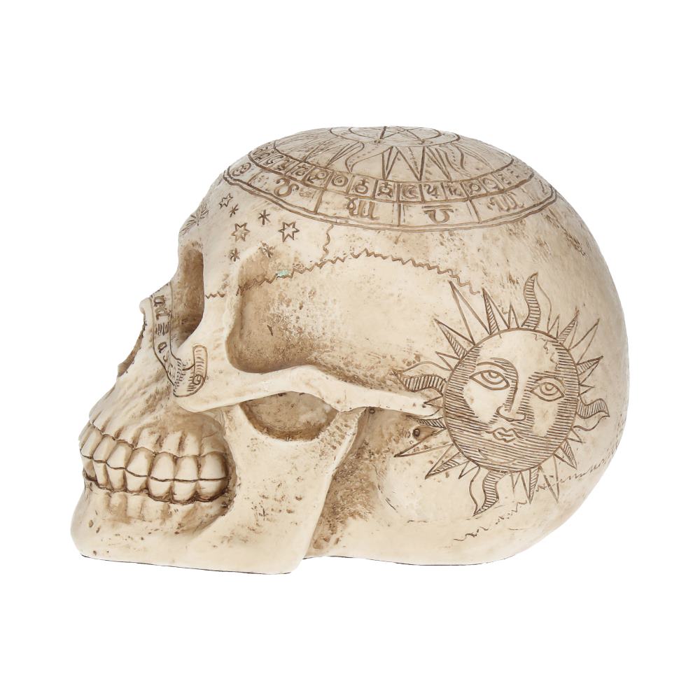 Astrological Skull