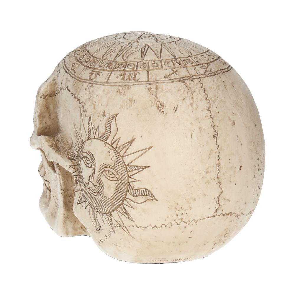 Astrological Skull