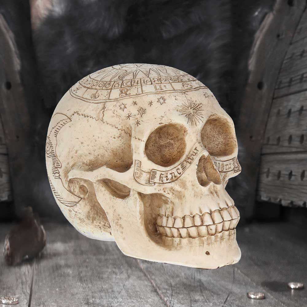 Astrological Skull