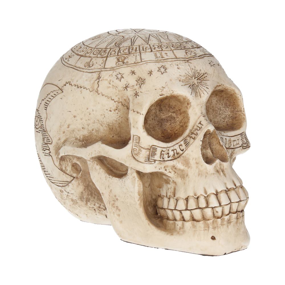 Astrological Skull