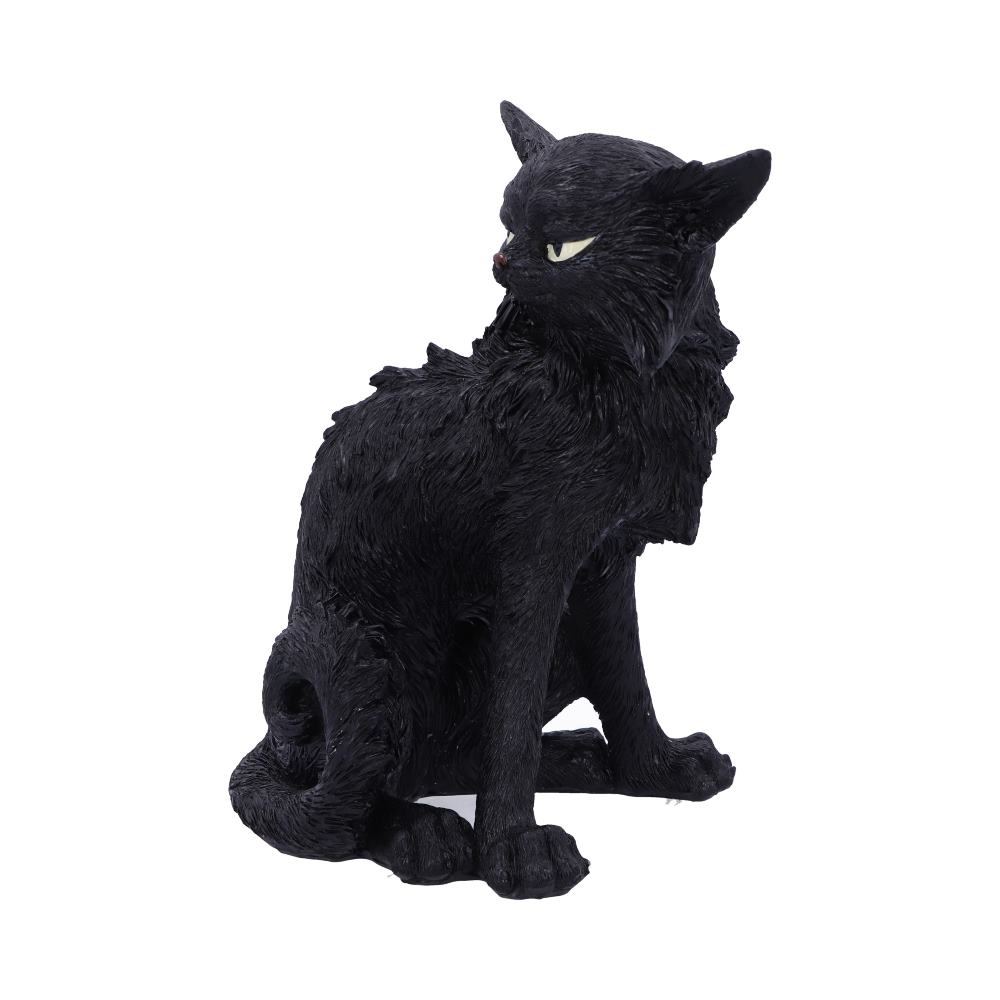 Salem (Small)