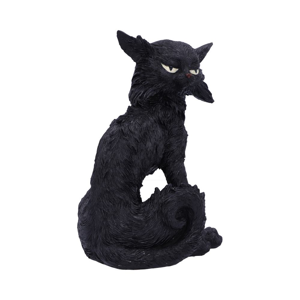 Salem (Small)