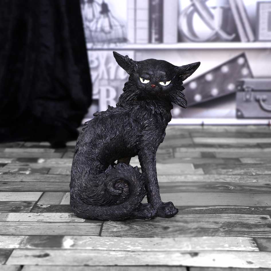 Salem (Small)