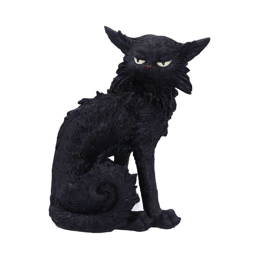 Salem (Small)