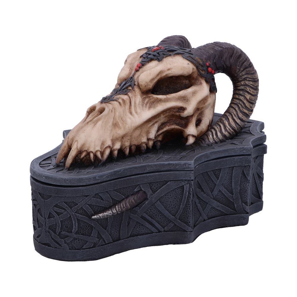 Dragon Skull Box (Monte Moore)