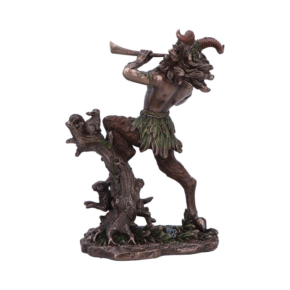 Satyr Nature Spirit