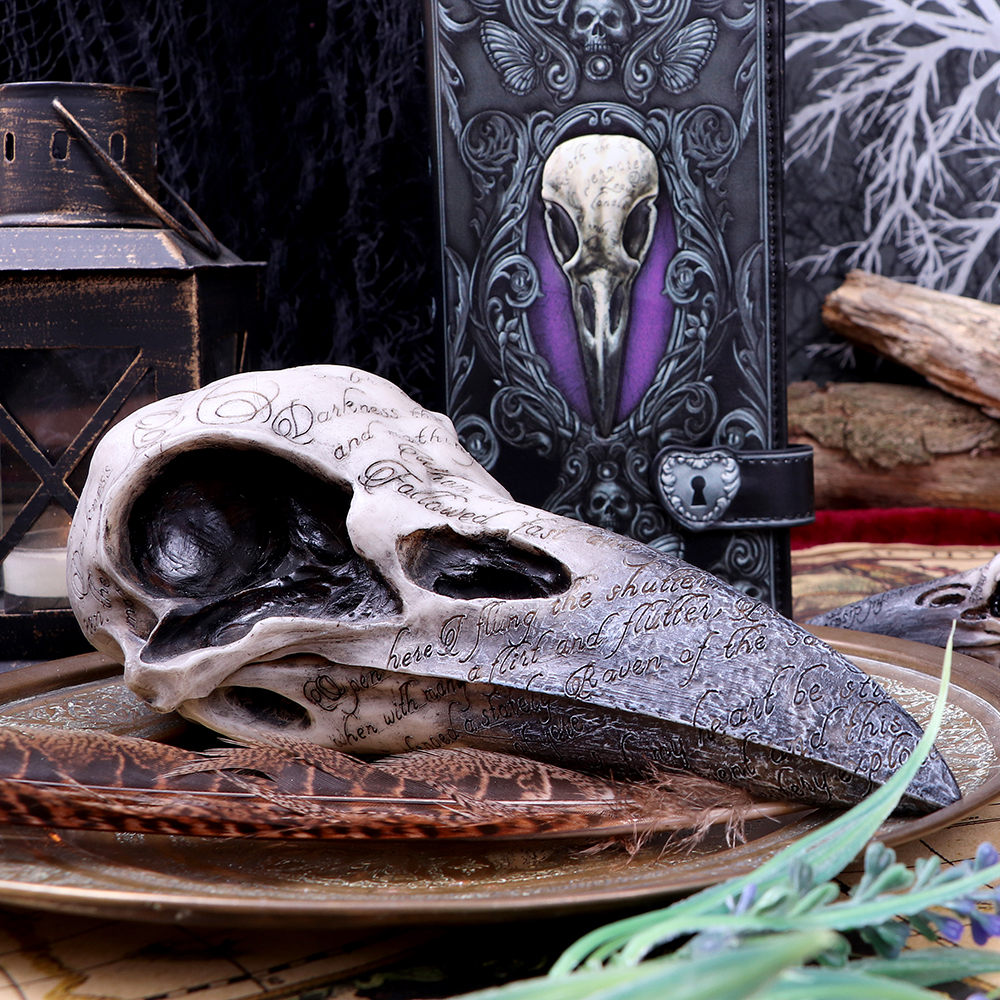 Edgar's Raven Skull