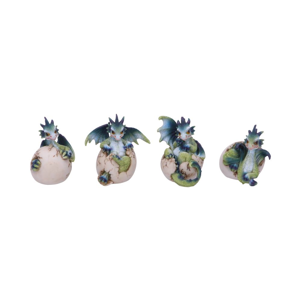 Hatchlings Emergence (Set of 4)