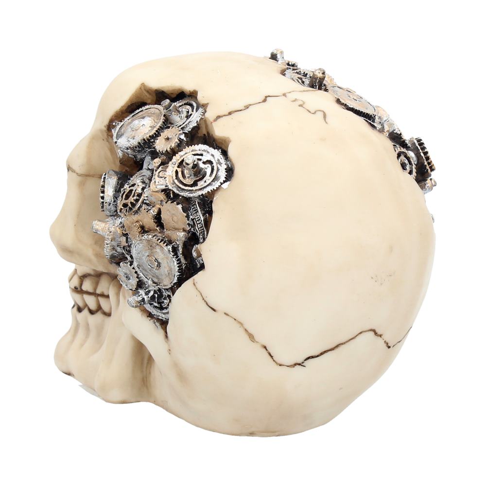 Clockwork Cranium