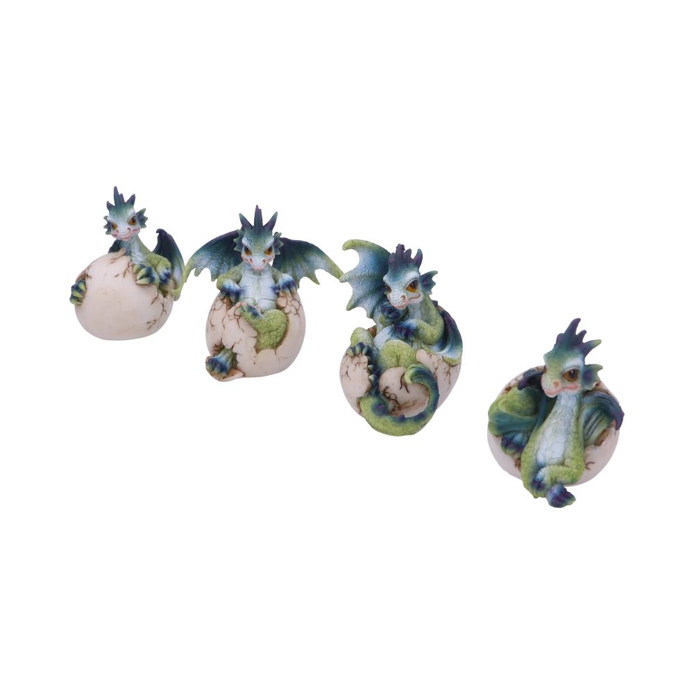 Hatchlings Emergence (Set of 4)