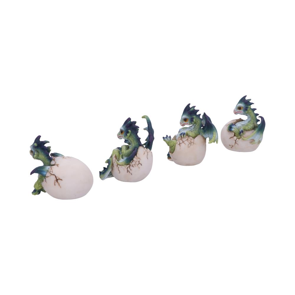 Hatchlings Emergence (Set of 4)