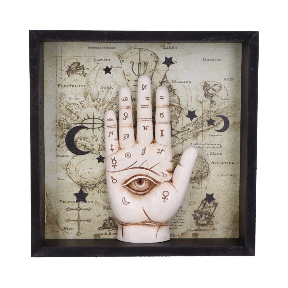 Palmistry Companion