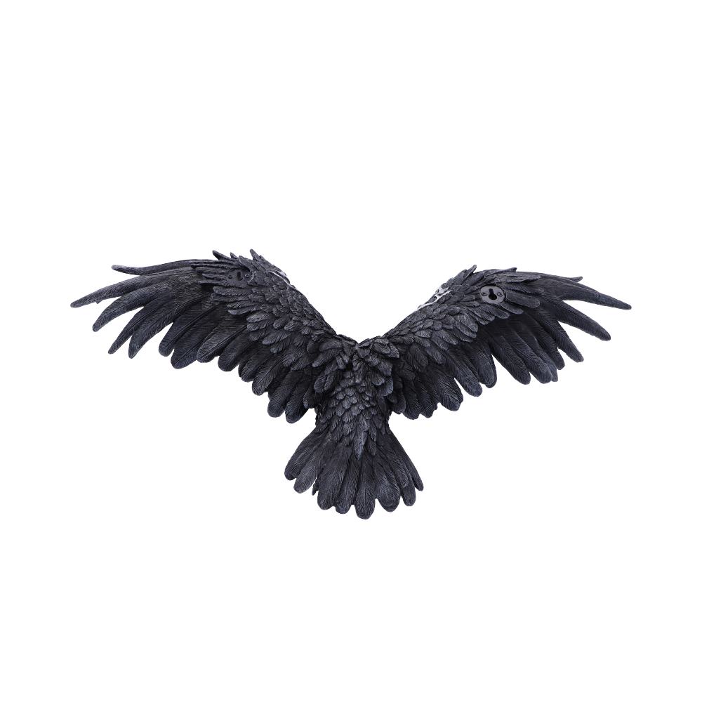 Dark Feather